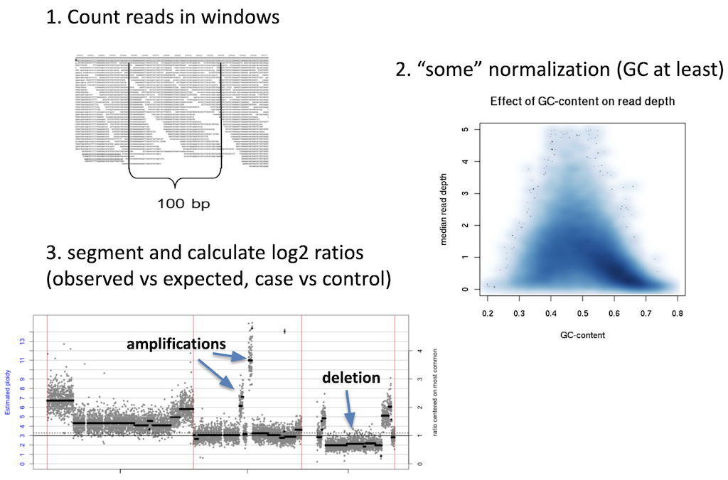 CNV analysis