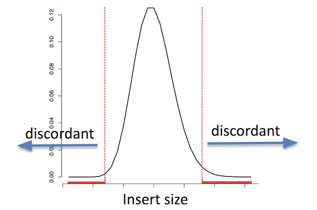 Insert size distribution