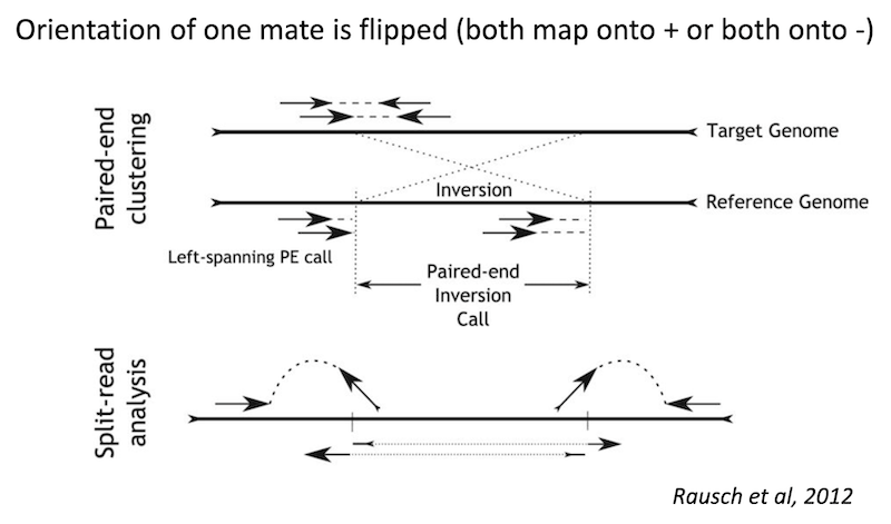 Inversion read signature