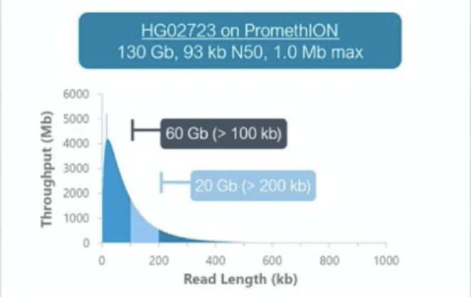 ONT PromethION Read Length