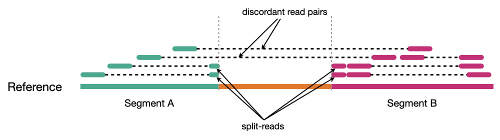 Reads aligned to reference