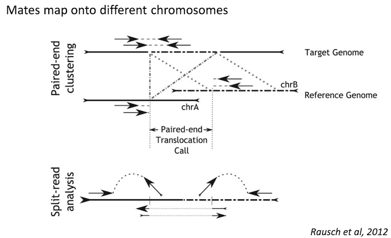 Translocation read signature