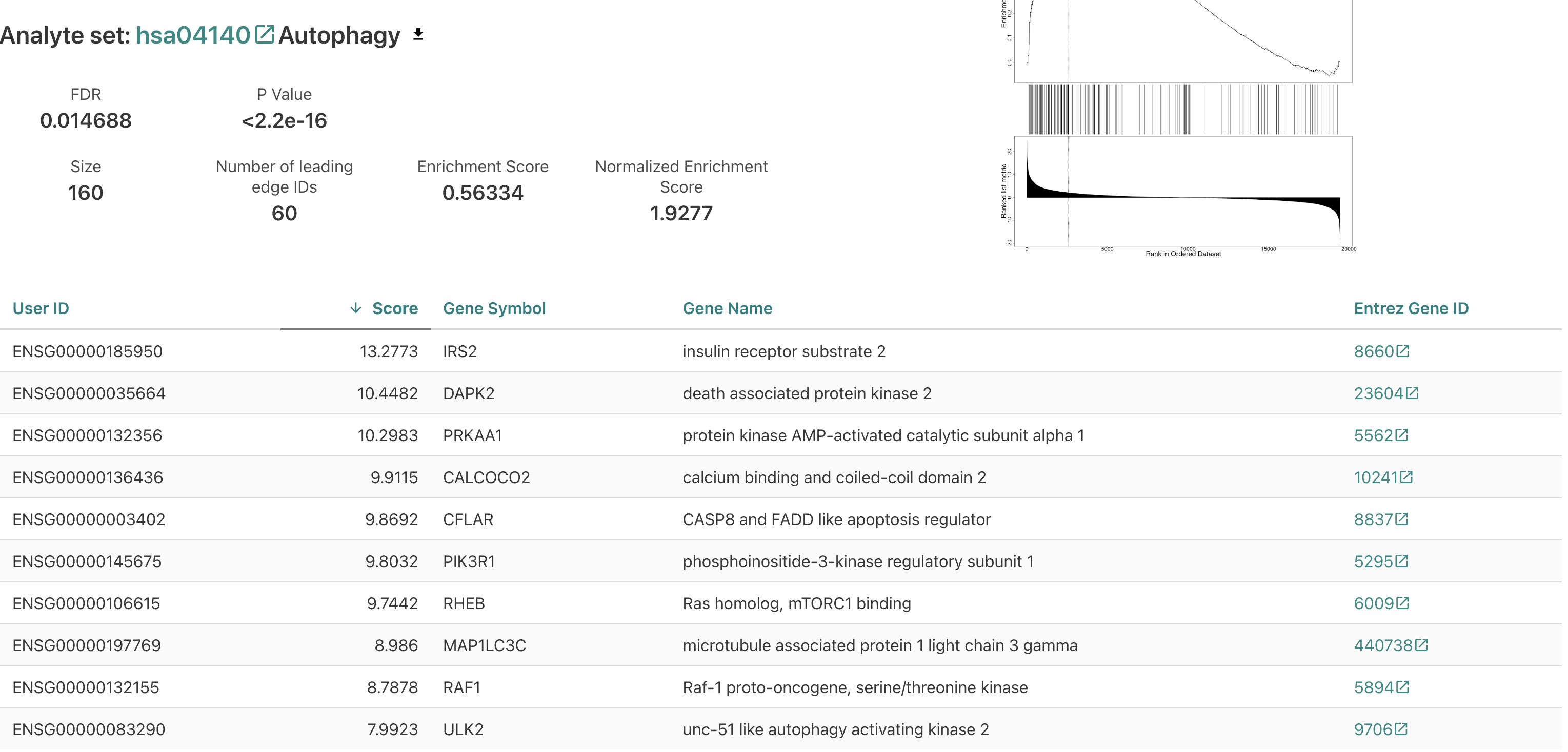 airway_webgestalt_autophagy