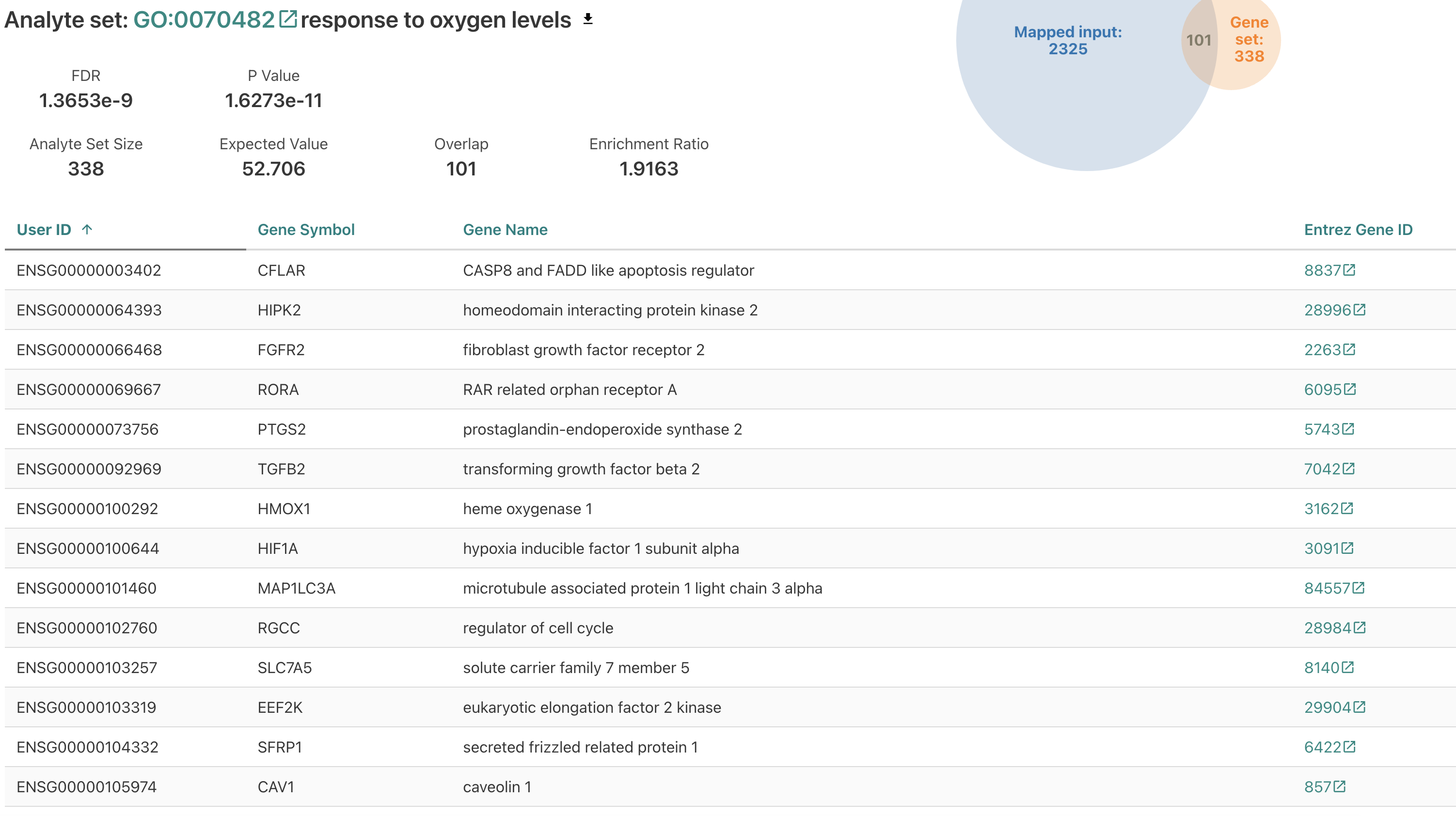 airway_webgestalt_response_to_oxygen_levels